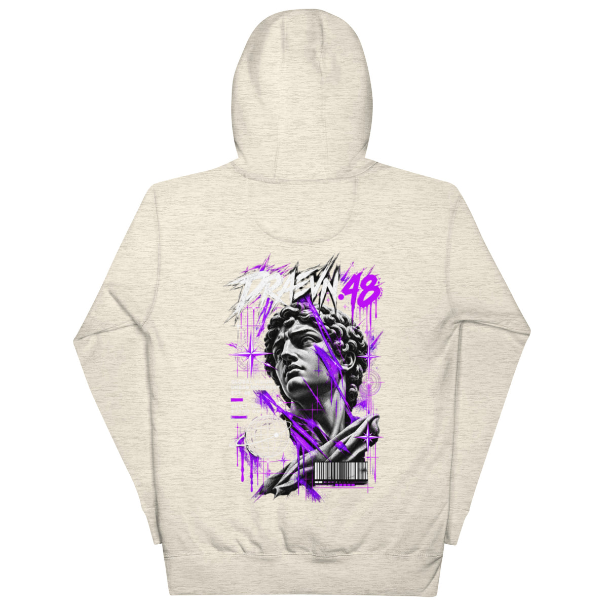 DRAEVN.48 — Drop 001 Graphic Hoodie – Oatmeal Heather, back view